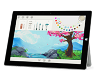 洪湖Surface 无法开启、Windows 无法启动或电池无法充电