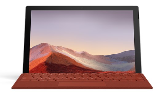 洪湖清洁和维护 Surface